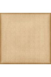 Beige Background - Moje fotografie - 