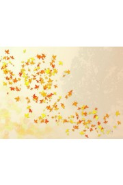pooh-autumn-leaves.jpg - My photos - 