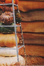 pumpkins, autumn - Mie foto - 