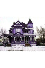 purple house - My look - 