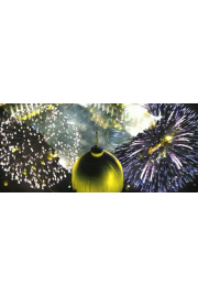 firework  - フォトアルバム - 